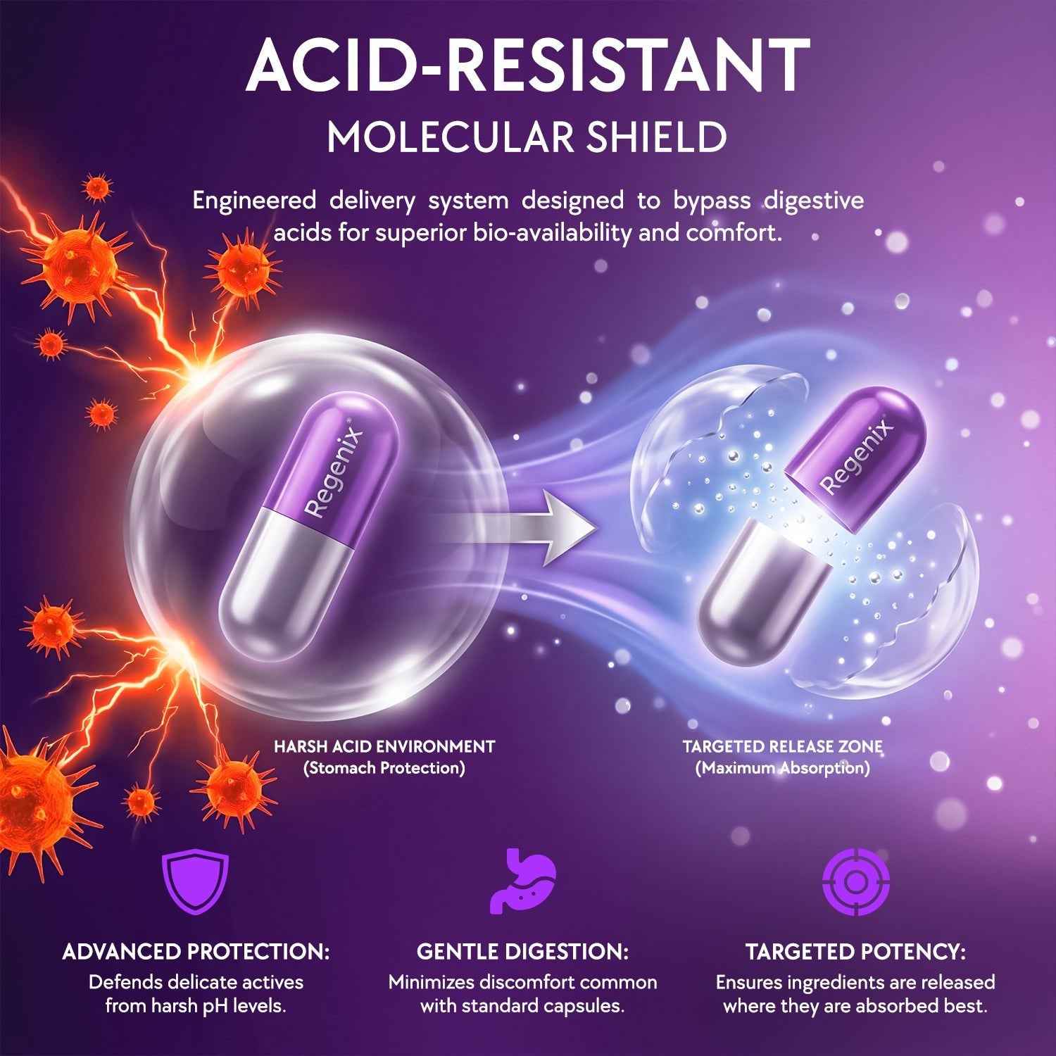 Cortisol Support – Ashwagandha & L-Theanine | Regenix Labs