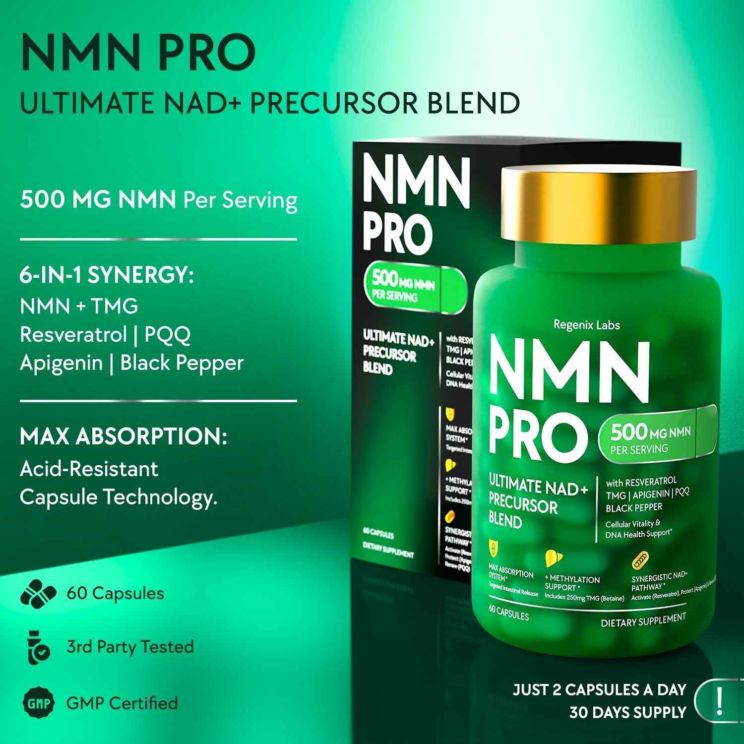 NMN 500mg Supplement – Resveratrol, TMG, PQQ | Regenix Labs